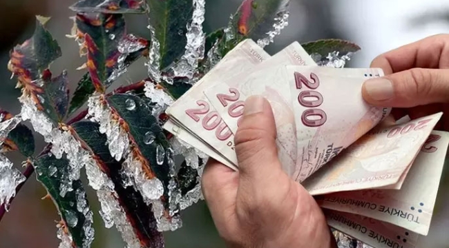Zirai dondan etkilenen çiftçilere ödeme yapılacak