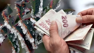 Zirai dondan etkilenen çiftçilere ödeme yapılacak