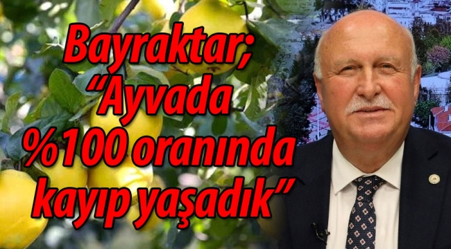 Bayraktar; "Ayvada %100 oranında kayıp yaşadık"