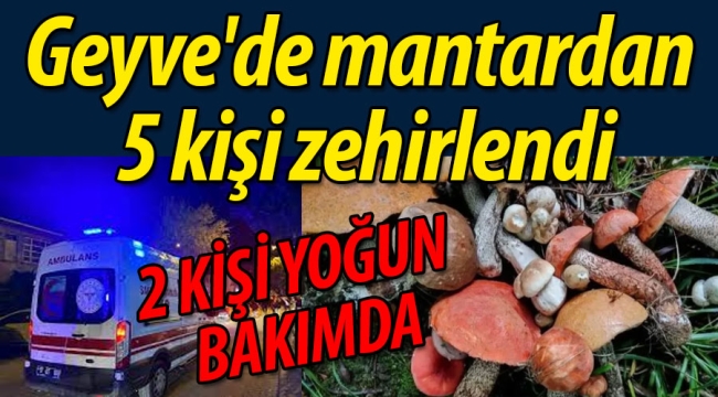 Geyve'de mantardan 5 kişi zehirlendi, 2 kişi yoğun bakımda