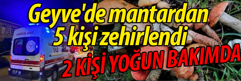 Geyve'de mantardan 5 kişi zehirlendi, 2 kişi yoğun bakımda