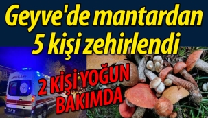 Geyve'de mantardan 5 kişi zehirlendi, 2 kişi yoğun bakımda