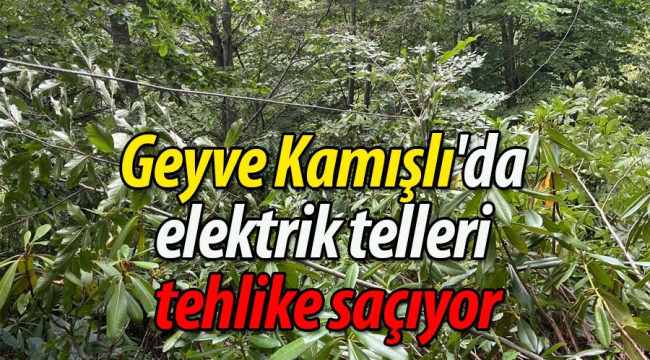 Geyve Kamışlı'da elektrik telleri tehlike saçıyor