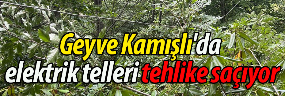 Geyve Kamışlı'da elektrik telleri tehlike saçıyor