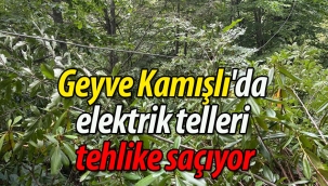 Geyve Kamışlı'da elektrik telleri tehlike saçıyor