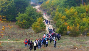 Geyve'nin zirvesine yürüdüler