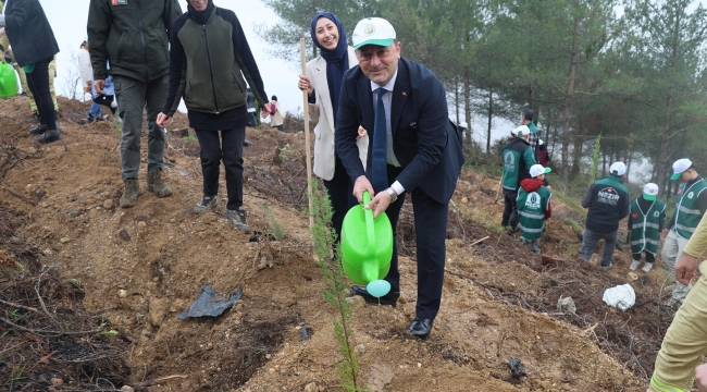Geyve'de yanan orman alanları fidanlarla buluşuyor