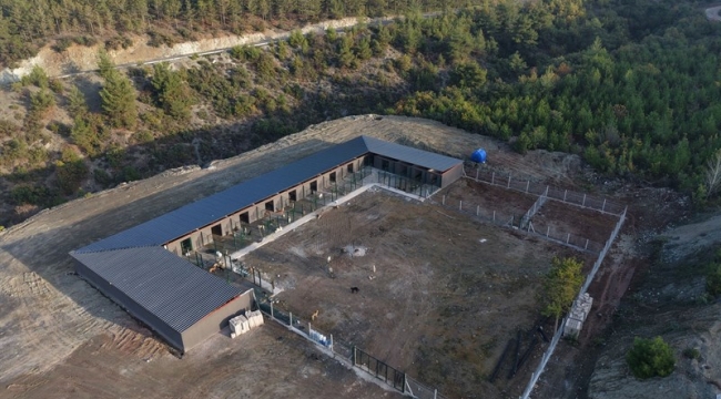 Geyve Belediyesi, hayvan barınağında sona geldi