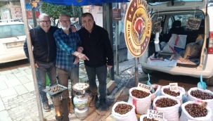 Geyve'de kestane zamanı