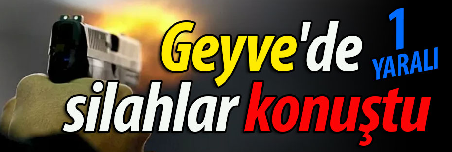 Geyve'de silahlar konuştu: 1 yaralı