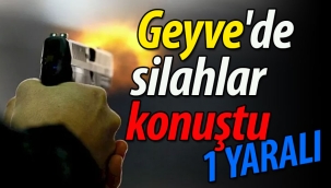 Geyve'de silahlar konuştu: 1 yaralı