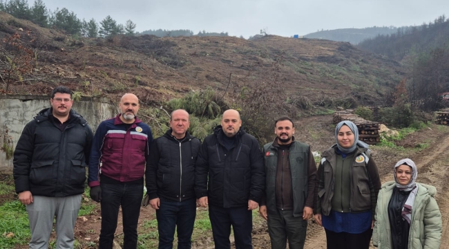 MHP Geyve teşkilatından ağaçlandırma programı