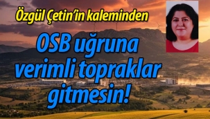 OSB uğruna verimli topraklar gitmesin!