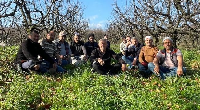 Geyve'de Altın Makas budama ekibi sezona girdi