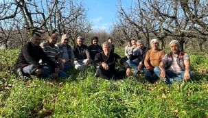 Geyve'de Altın Makas budama ekibi sezona girdi