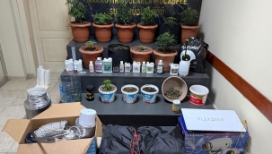 Geyve'de evde kenevir yetiştiren 2 şüpheli yakalandı!