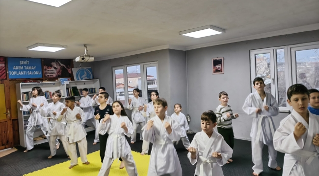 Geyve Ülkü Ocakları karate kursu devam ediyor