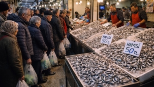 Hamsi 50 TL'ye düşünce metrelerce kuyruk oluştu