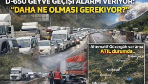 D-650 Geyve Geçişi Alarm Veriyor!