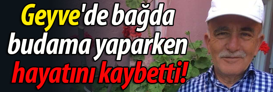 Geyve'de bağda budama yaparken hayatını kaybetti!