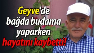 Geyve'de bağda budama yaparken hayatını kaybetti!