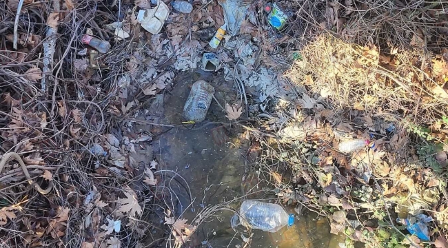 Geyve Safibey'de çevre felaketi iddiası!