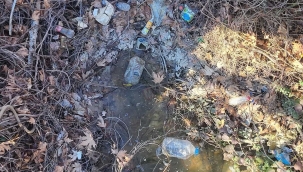 Geyve Safibey'de çevre felaketi iddiası!