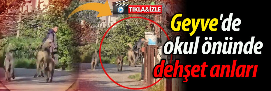 Geyve'de okul önünde dehşet anları