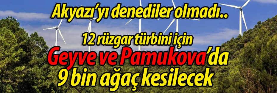 Akyazı olmadı.. 12 rüzgar türbini için Geyve ve Pamukova'da 9 bin ağaç kesilecek!