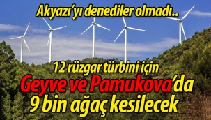 Akyazı olmadı.. 12 rüzgar türbini için Geyve ve Pamukova'da 9 bin ağaç kesilecek!