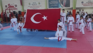 Geyve'de 19 Mayıs coşkusu