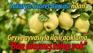 STB'den Geyve ayvası açıklaması; ''Bize ulaşmış talep yok''