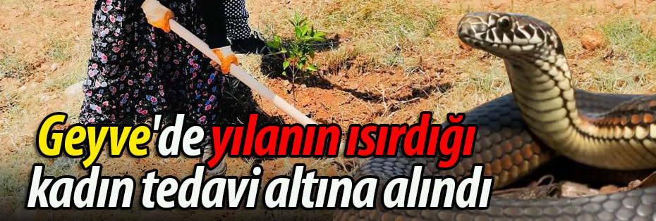 Geyve'de yılanın ısırdığı kadın tedavi altına alındı