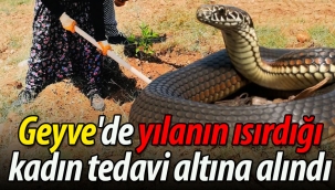 Geyve'de yılanın ısırdığı kadın tedavi altına alındı