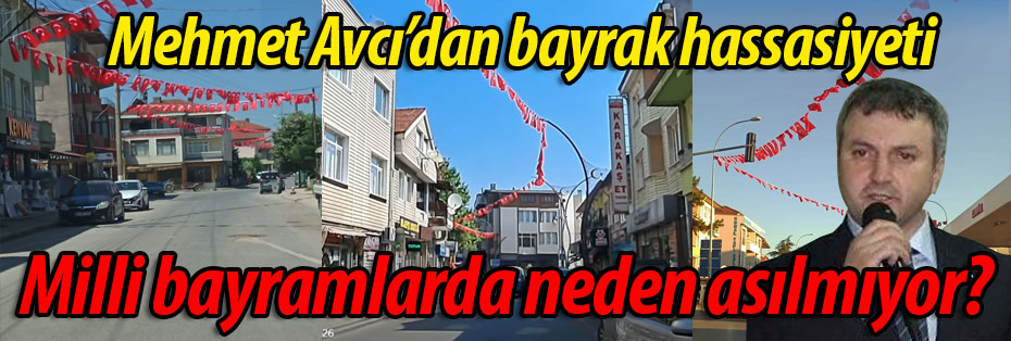 Mehmet Avcı: "Milli bayramlarda neden asılmıyor?"