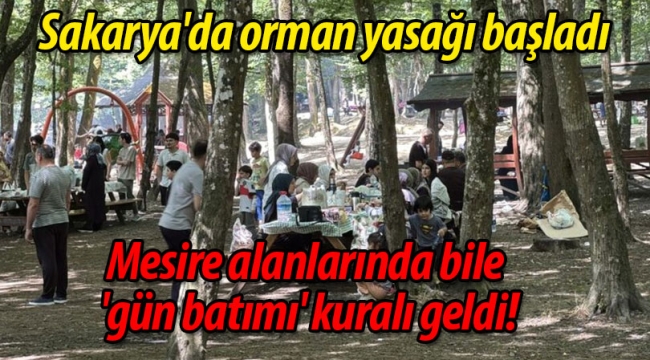 Sakarya'da orman yasağı başladı!