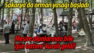 Sakarya'da orman yasağı başladı!