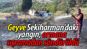 Sekiharman'da çıkan yangın büyümeden söndürüldü