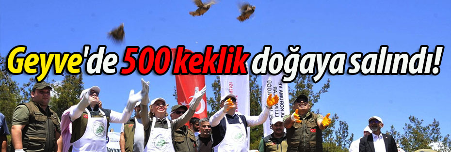 Geyve'de 500 Kınalı Keklik Doğaya Salındı