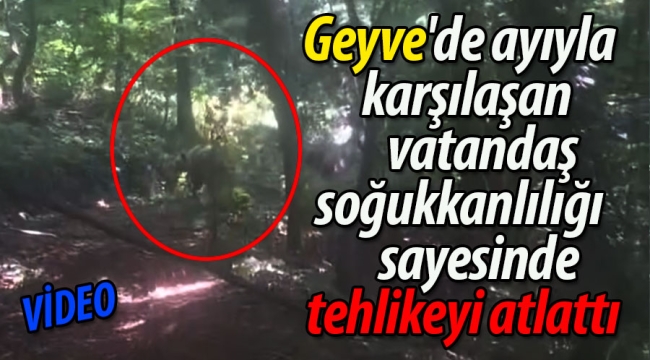 Geyve'de ayıyla karşılaşan vatandaş soğukkanlılığı sayesinde tehlikeyi atlattı