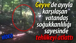 Geyve'de ayıyla karşılaşan vatandaş soğukkanlılığı sayesinde tehlikeyi atlattı