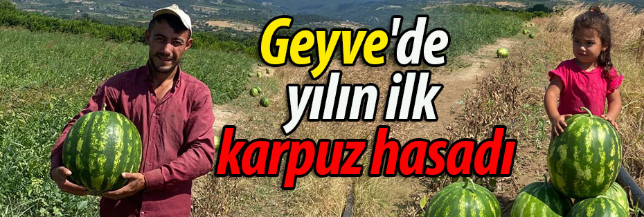 Geyve'de yılın ilk karpuz hasadı