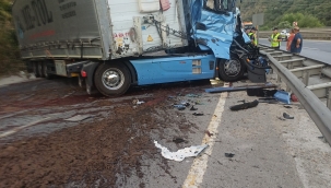Geyve Devebağırtan"da iki TIR çarpıştı