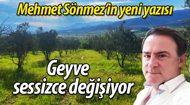 Mehmet Sönmez'in yeni yazısı: Geyve Sessizce Değişiyor
