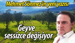 Mehmet Sönmez'in yeni yazısı: Geyve Sessizce Değişiyor