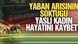 Yaban arısının soktuğu kadın hayatını kaybetti