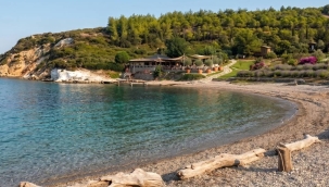 Geçen yılki felaket yine hortladı: İzmir sahillerinde sakın yaklaşmayın çağrısı