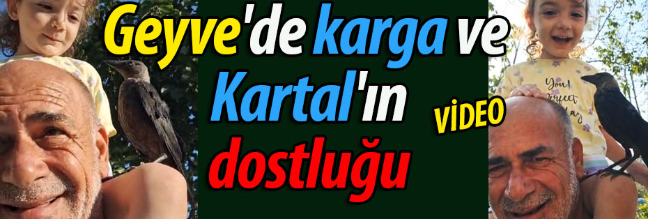 Geyve'de karga ve Kartal'ın dostluğu