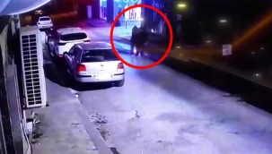 Sahilde cesetleri bulunan 3 kardeşin son görüntüleri ortaya çıktı