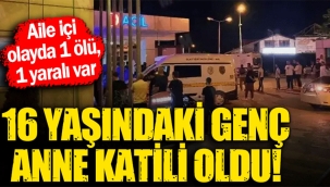 16 yaşındaki genç anne katili oldu! 